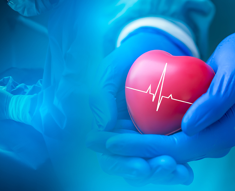 data-warehouse-social-services